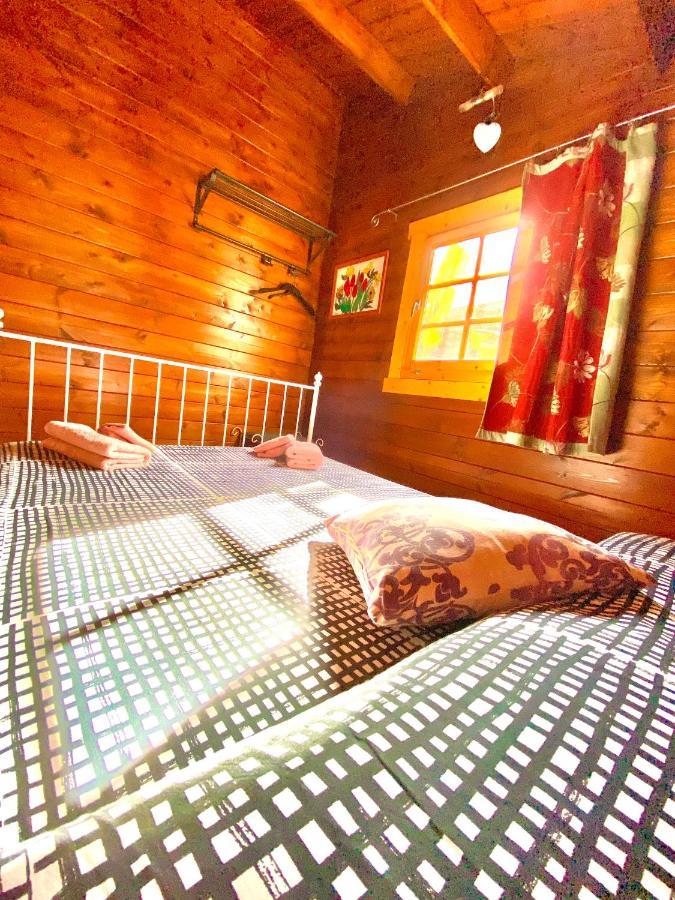 Canary Wild House 2 Carrizal Ngoại thất bức ảnh